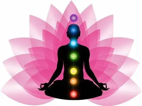 Silhouette d'une personne en méditation avec des chakras colorés Silhouette d'une personne en méditation avec des chakras colorés, entourée de pétales de lotus.